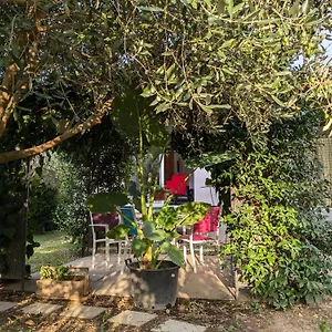 La Maison Sous L'olivier Villa Morieres-les-Avignon
